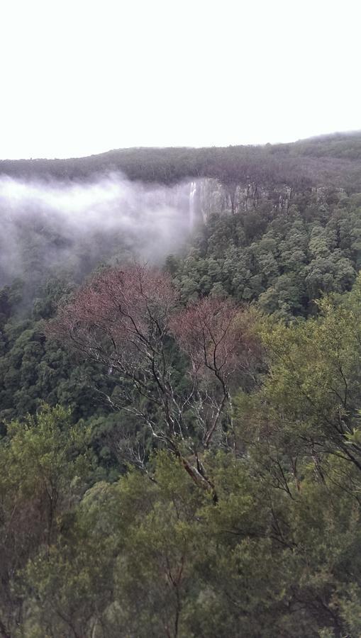 Springbrook Storybook Διαμέρισμα Εξωτερικό φωτογραφία
