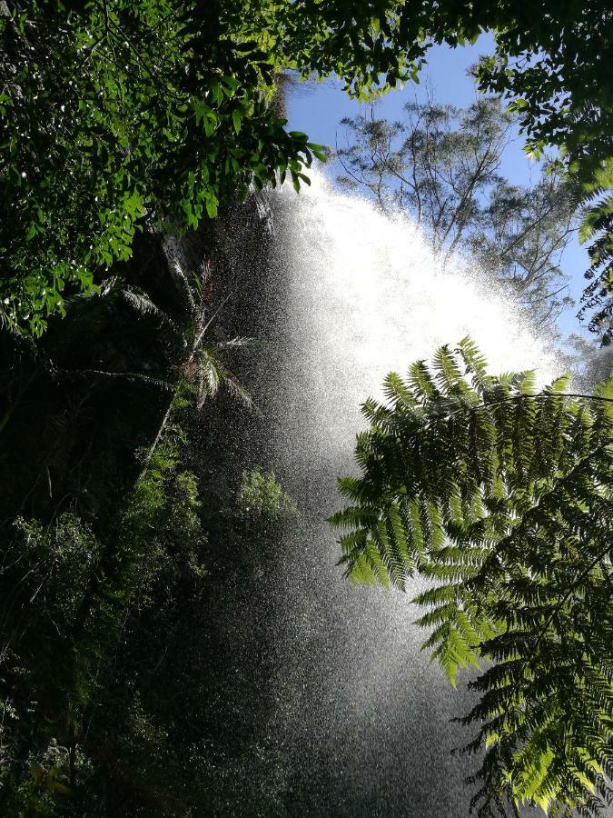 Springbrook Storybook Διαμέρισμα Εξωτερικό φωτογραφία